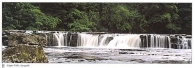 Upper Falls, Aysgarth postcards